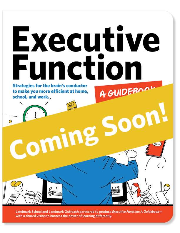 Executive Function Guidebook Cover